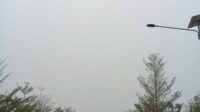 IMG-20261008-WA0028